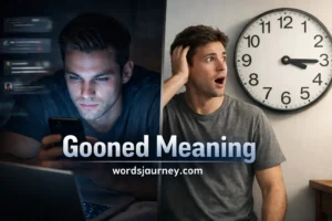 Gooned Meaning