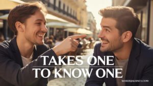Takes One to Know One: Meaning and usage