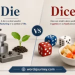 Die vs Dice