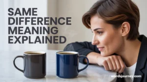 "Same Difference” Idiom Meaning